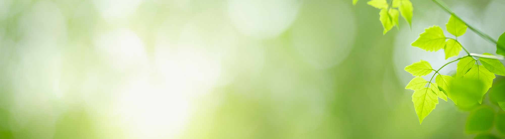 Naturfarben Natürliche Farben München Naturfarben München natürliche Farben